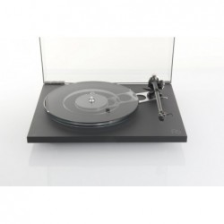 REGA PLANAR 6 + TESTINA...